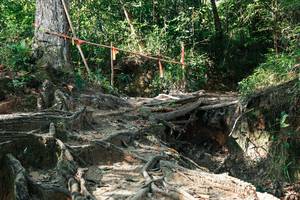 BIB: 
                            <button type="button" onclick="openModal(27799825)" class="btn btn-primary btn-sm float-right btn-popup" data-toggle="modal" data-target=".modal-high-quality">
                        <i class="fas fa-shopping-cart"></i> Add to Cart
                    </button>
                                            <button type="button" onclick="isThisMe(27799825, true)" class="btn btn-success btn-sm float-right btn-popup btn-isme hidden" data-toggle="tooltip" data-placement="bottom" title="นี่คือรูปของคุณใช่ไหม คลิกที่นี่เพื่อเอาเข้าอัลบั้ม">
                        <i class="fas fa-plus"></i> Add to album
                    </button>
                    <button type="button" onclick="isThisMe(27799825, false)" class="btn btn-warning btn-sm float-right btn-popup btn-isnotme hidden">
                        <i class="fas fa-ban"></i> Remove from album
                    </button>